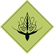 Лориэн